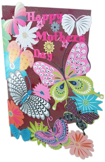 B485081e 3fdc 478b a5da 502e40d93f9c 1all8501 1