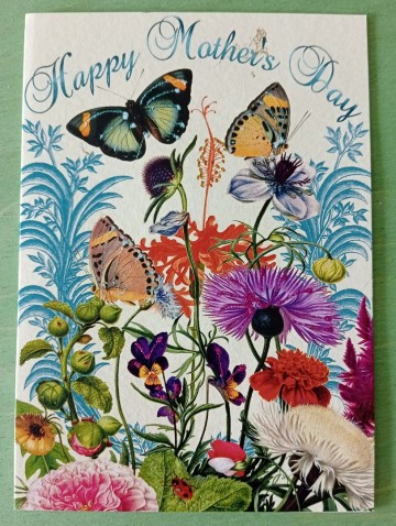 B485081e 3fdc 478b a5da 502e40d93f9c 1all8506