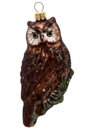 Bruine uil hw09329product