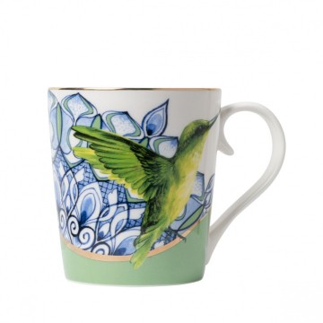 Dbk31515 mok kolibrie