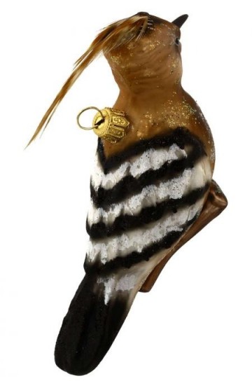 De specht boven hw52043