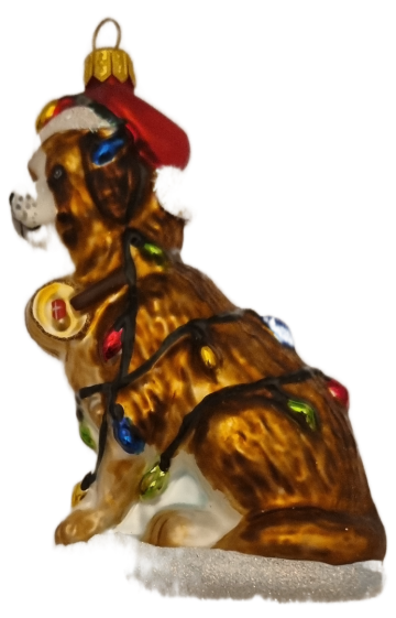 Hdw1925543 sint bernardshond