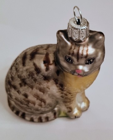 Hw1459031 wit gestreepte poes