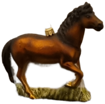 Hwd173626 bruin paard