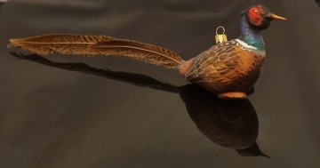 Hwv1916391 fazant lange staart