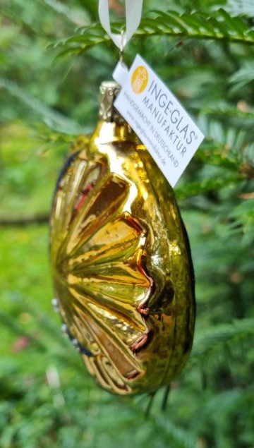 Igb1297522 komeet zijkant