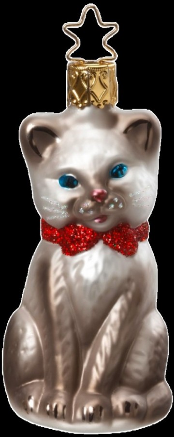 Igd1150221 grijze poes met rode strik