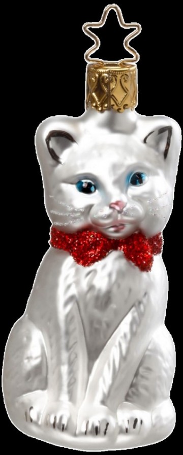 Igd1151221 witte poes met rode strik