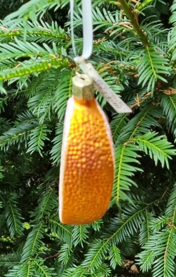 Igf1750122 sinaasappel partje achterzijde