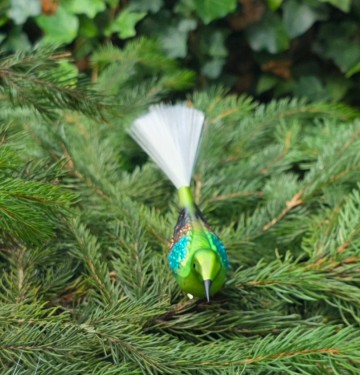 Igv102723 1vogel casper