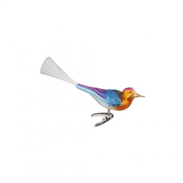 Igv107323 vogel amira