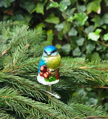 Igv1097161 koolmees bluetit