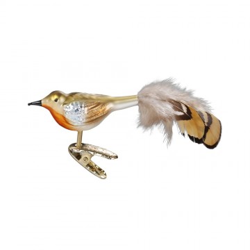 Igv151019 arabella bruin vogeltje op clips