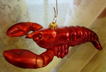 Kreeft zijkant hw02489