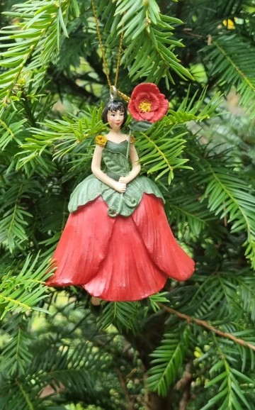 Me100391 klaproos meisje hangend rood voorzijde