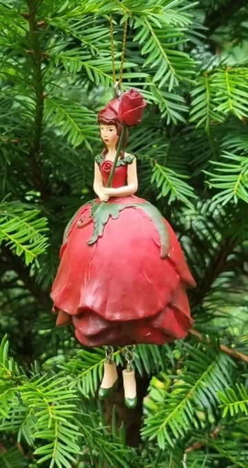 Me100441 rode rozen meisje hangend