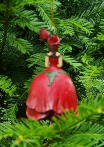 Me1004411 rode rozen meisje hangend