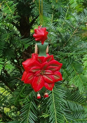 Me1004451 kerstroosmeis rood voorzijde