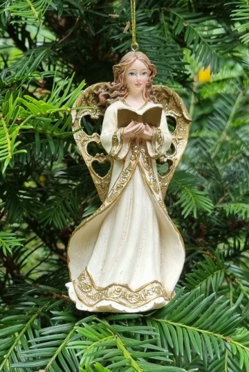 Me2408667 2 engelen hangend 1 met boek voorzijde