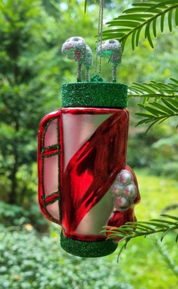 Wgr1518311 golftas zijkant