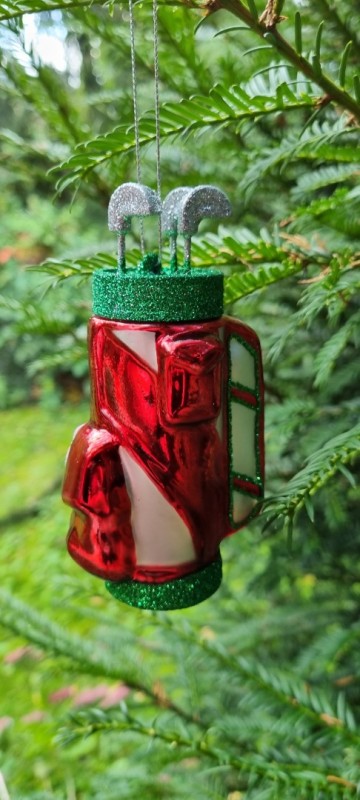 Wgt151831 golftas compleet